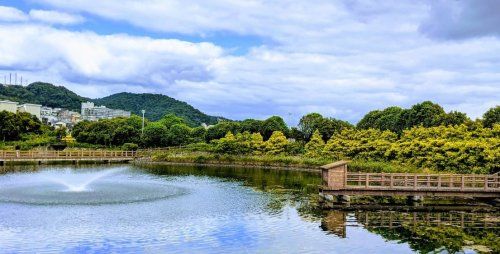 近くの中池公園まで767m(徒歩10分)