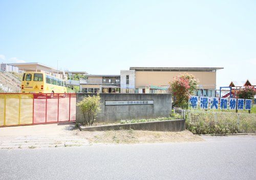 近くの常滑大和幼稚園まで654m（徒歩9分）