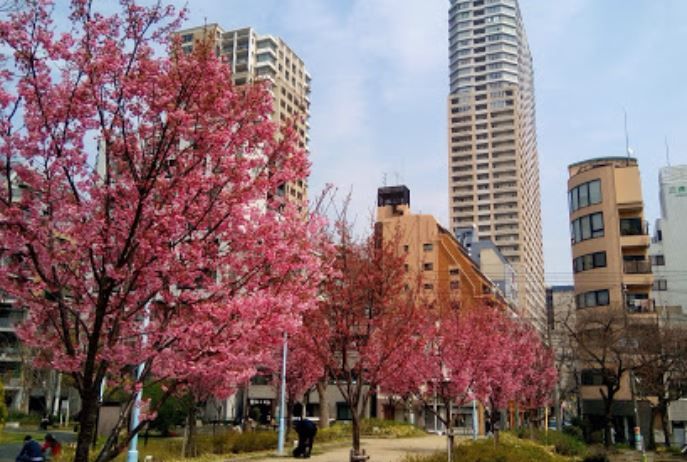 近くの中大江公園まで557m（徒歩7分）