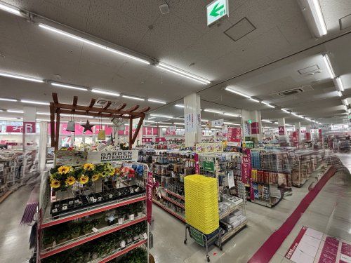 近くのダイソー　ホームセンターコーナン灘大石川店まで1,079m（徒歩14分）