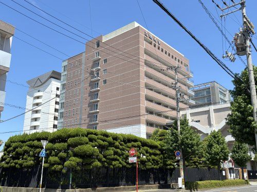 近くの徳島文理大学まで825m（徒歩11分）