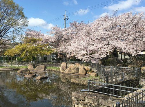 近くの久保公園まで1,297m(徒歩17分)