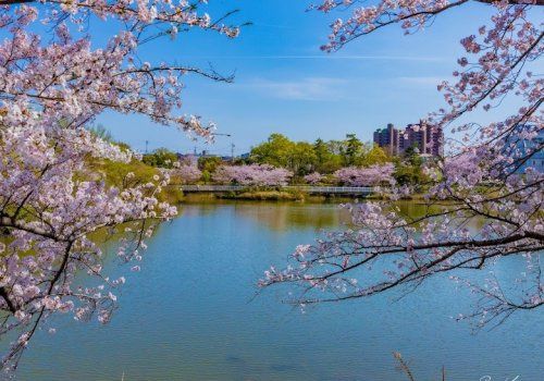 近くの杁ヶ池公園まで129m（徒歩2分）
