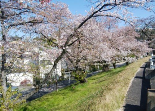 近くの第14号矢田川橋緑地まで1,184m（徒歩15分）