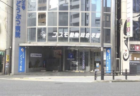 近くの天王寺どうぶつ病院まで161m(徒歩3分)