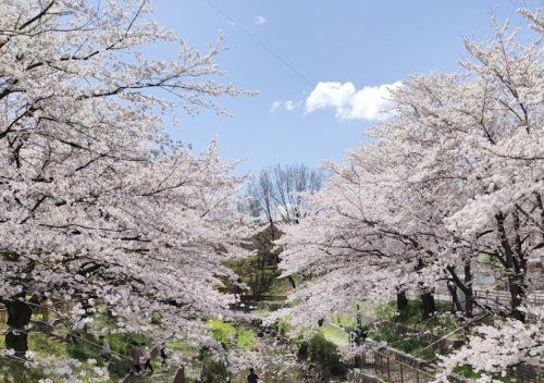 近くの城土公園まで1,376m（徒歩18分）