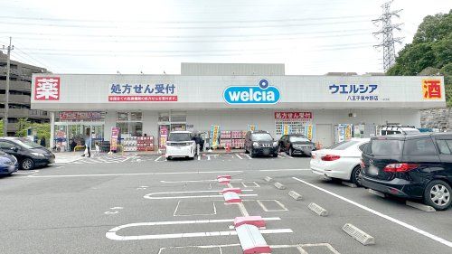 近くのウエルシア八王子東中野店まで1,228m（徒歩16分）