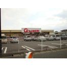 近くのコメリ　堅田店まで569m（徒歩8分）