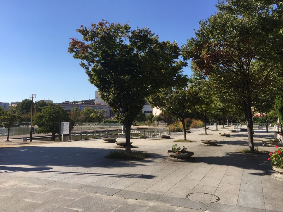 近くの市場池公園まで585m（徒歩8分）