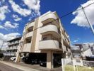 NODA GULANDEの間取り画像