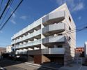 DIPS南六郷の間取り画像