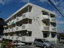大地マンションの間取り画像