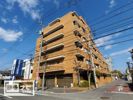 アルファガーデン番町の間取り画像