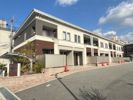 ダンデライオンの外観