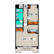 新田東レジデンスの間取り画像