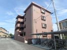 プラスパー門松の間取り画像
