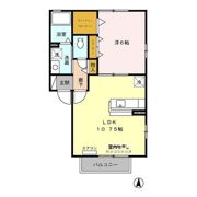 ラピスラズリーの間取り画像