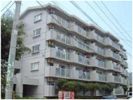 シャトレ沼本町の間取り画像