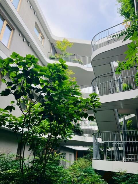 眺望