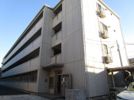 ロイヤルパレス市川の間取り画像