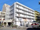 大竹ハイツの間取り画像