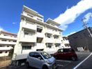 ラフィーネ住吉の間取り画像