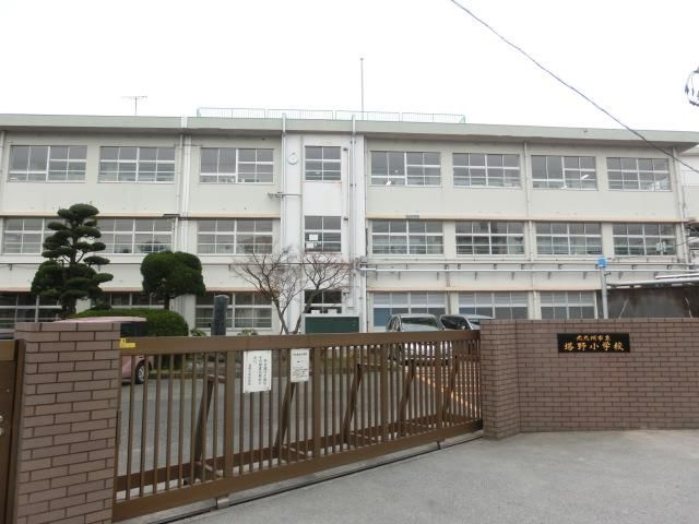 塔野小学校(288m)