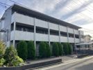 シーレックス Parqueの間取り画像