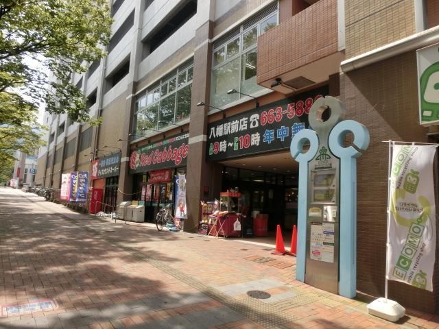 レッドキャベツ(280m)