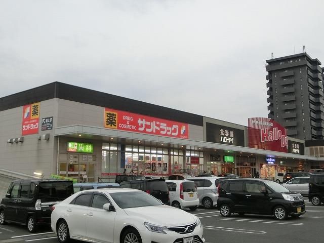 サンドラッグ／共立大前店 (820m)