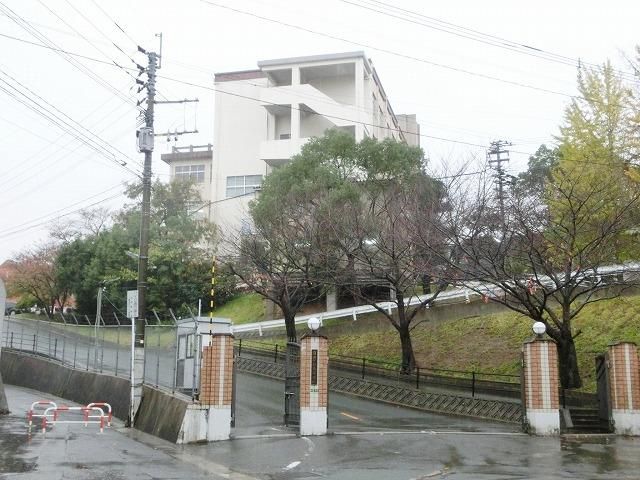 自由ケ丘高校(280m)