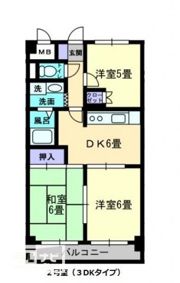 松島フラットの間取り画像