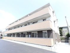 アガパンサスの外観画像