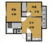 A APARTMENT NISHIICHIの間取り画像