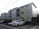 本通マンションの間取り画像