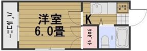 アリスメゾン新保の間取り画像