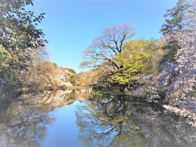 近くに施設あり
