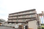 ファミール昭栄の間取り画像