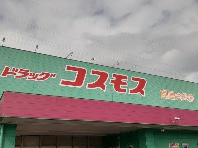 コスモス鹿屋共栄店まで1100m