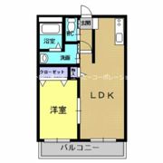 サンクチュアリ古町の間取り画像