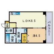 ラ ルーチェ平尾の間取り画像