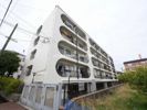 マンション和光の間取り画像