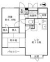パティオ西池袋Ⅲの間取り画像
