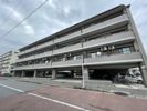 フルーベ庚午の間取り画像