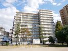 日商岩井中津マンションの間取り画像