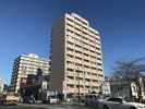 メゾン太陽の間取り画像