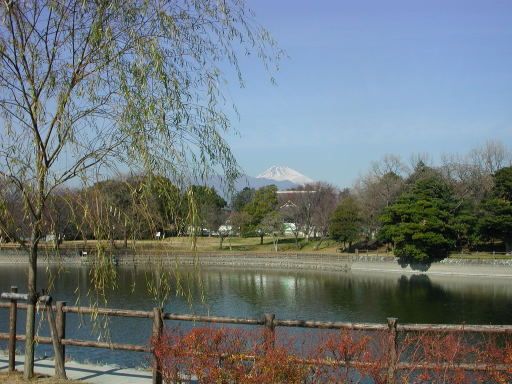 その他「門池公園まで1200m」
