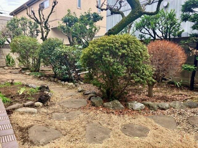 庭
