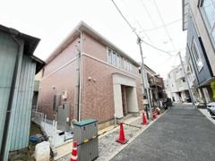 ヘリクリサムの外観画像