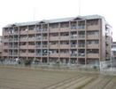 スカイアーベイン室見の間取り画像